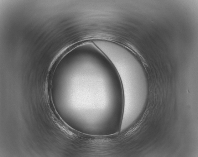 X0000055980788200508190728