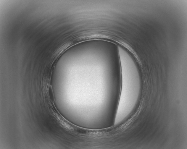 X0000055980793200508190728
