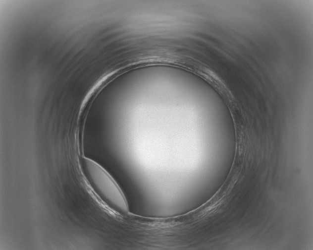 X0000055980796200508190728