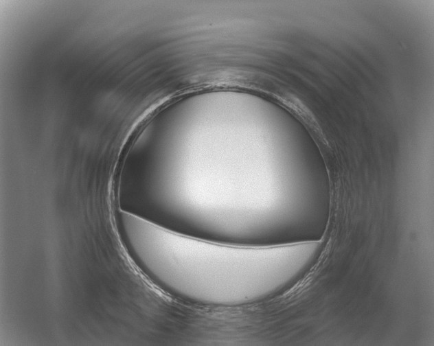 X0000055980798200508190728