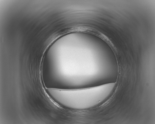 X0000055980802200508190728