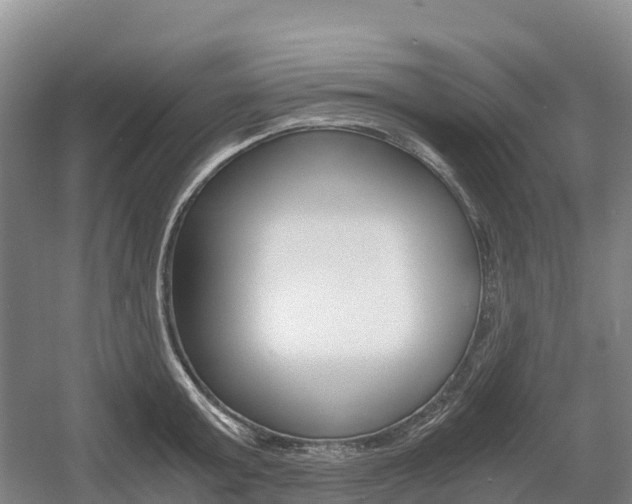X0000055980803200508190728