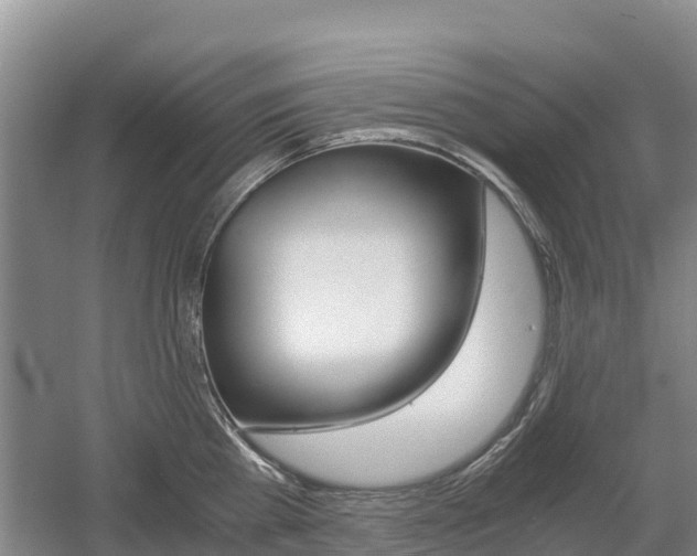 X0000055980809200508190728