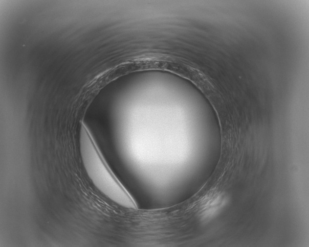 X0000055980821200508190727