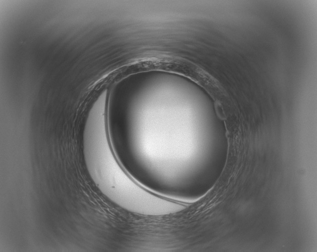 X0000055980822200508190727