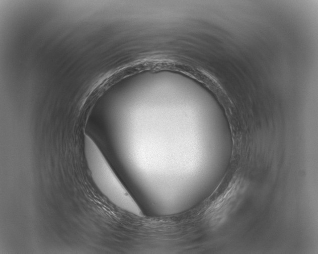 X0000055980823200508190727