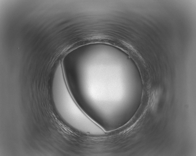X0000055980825200508190727