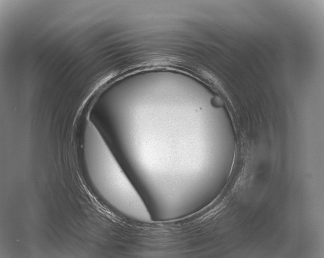 X0000055980827200508190727