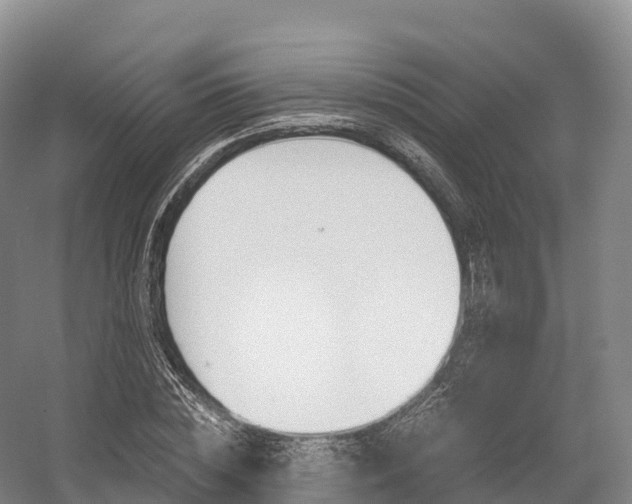 X0000055980828200508190727