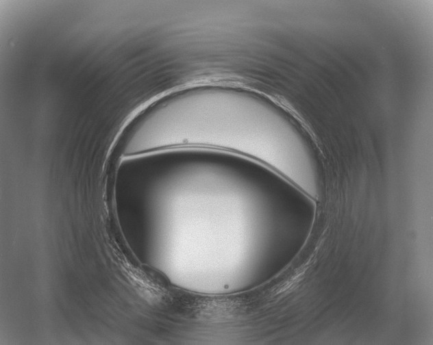 X0000055980830200508190727