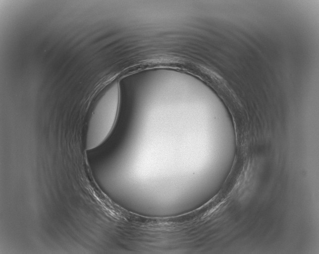 X0000055980833200508190727