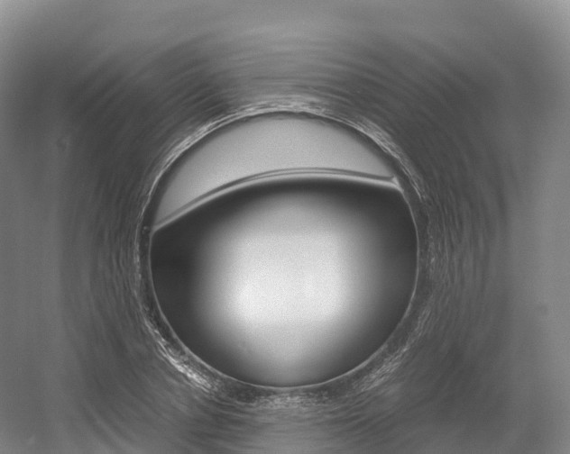 X0000055980834200508190727