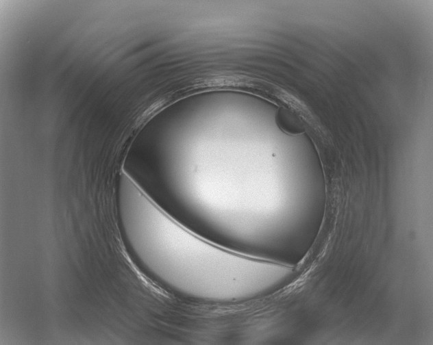 X0000055980841200508190727