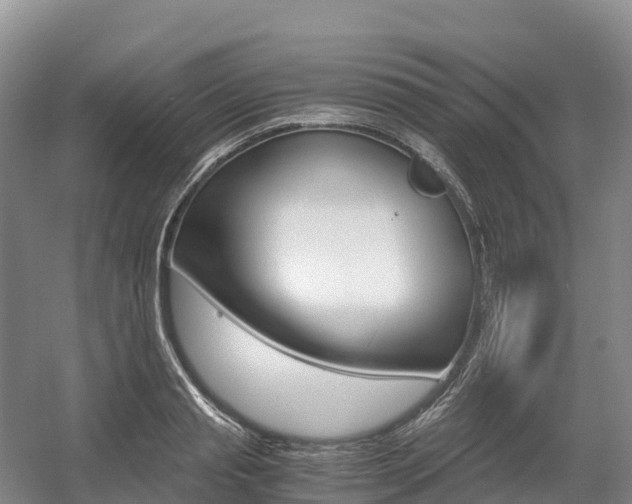 X0000055980845200508190727