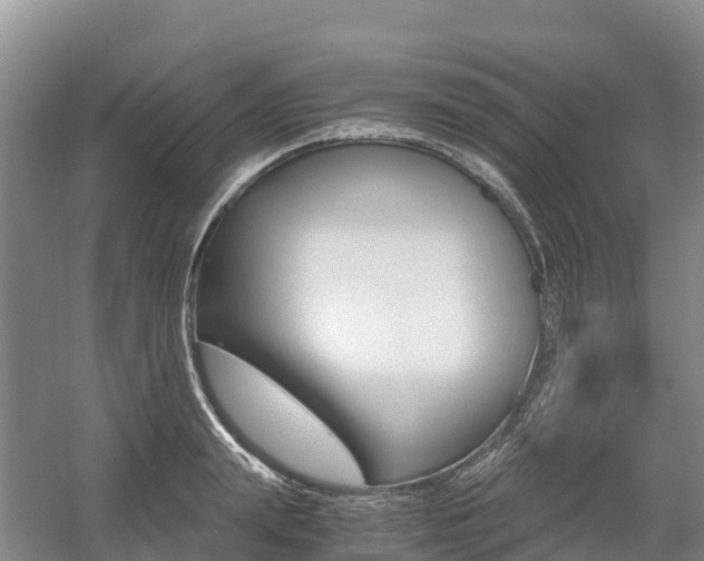 X0000055980847200508190727
