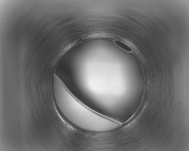 X0000055980849200508190727