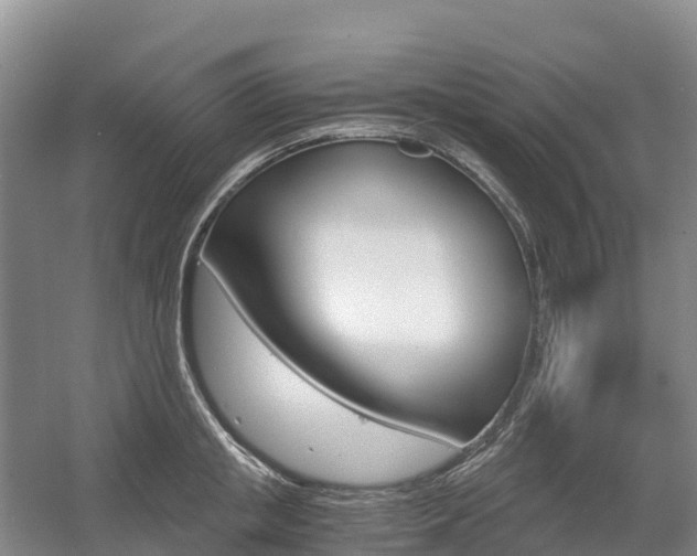 X0000055980853200508190727