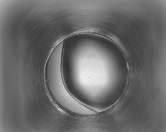 X0000055980858200508190727