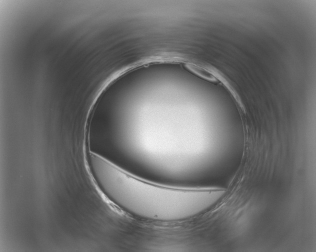 X0000055980861200508190727