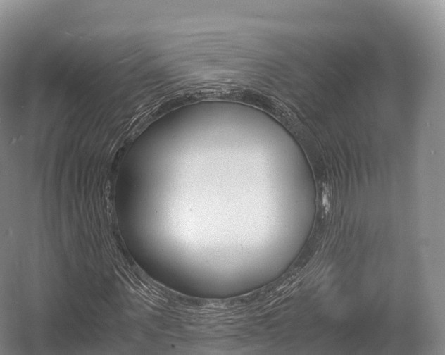 X0000055980867200508190727
