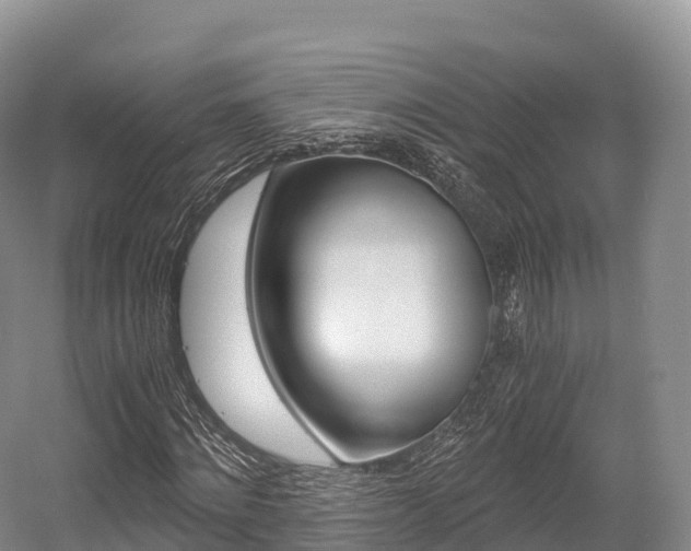 X0000055980868200508190727