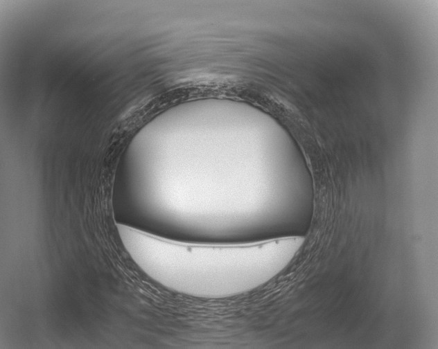 X0000055980869200508190727