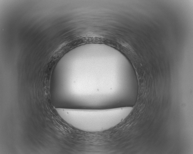 X0000055980870200508190727