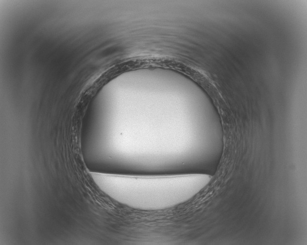 X0000055980871200508190727