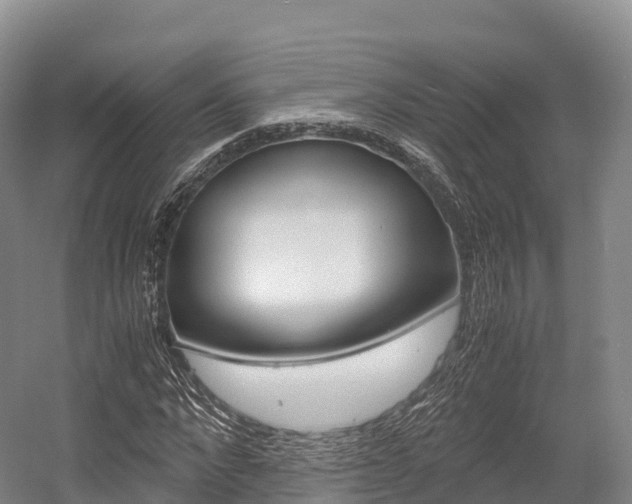 X0000055980872200508190727