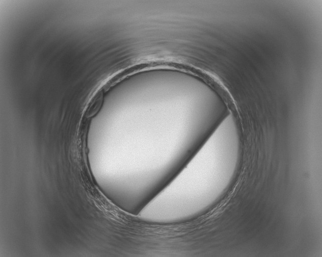 X0000055980879200508190726