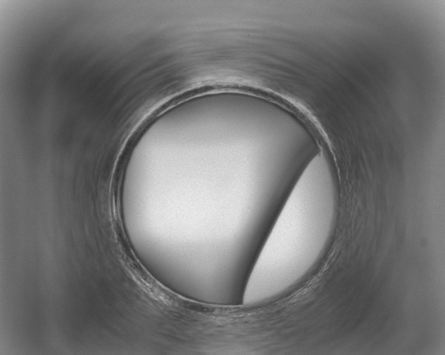 X0000055980887200508190726