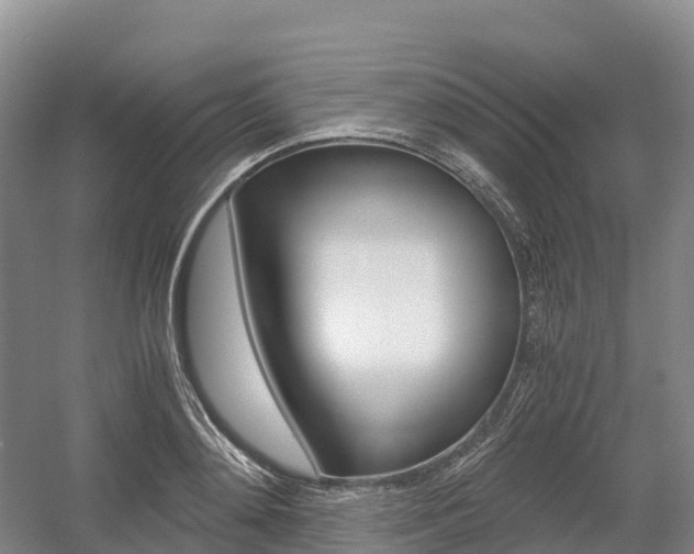 X0000055980892200508190726
