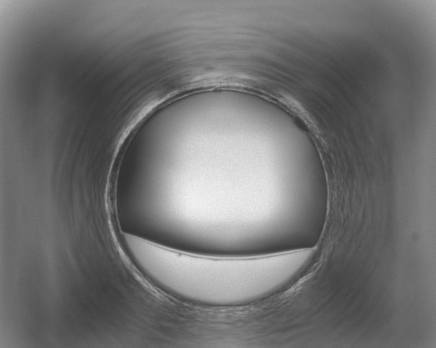 X0000055980893200508190726