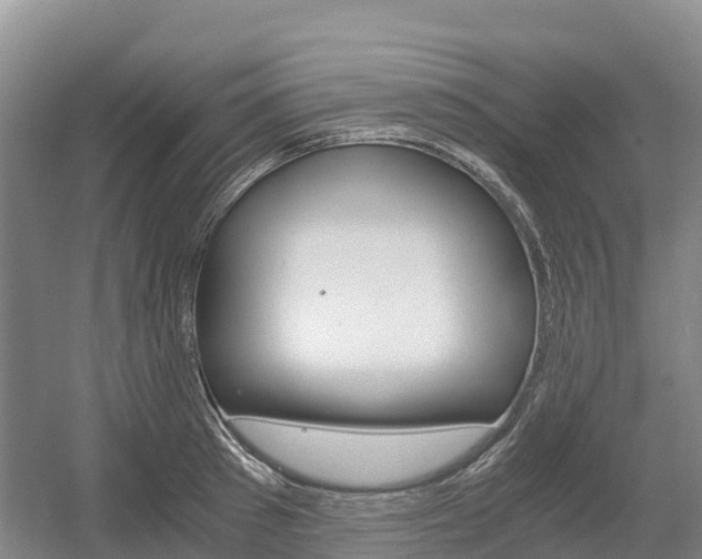 X0000055980897200508190726