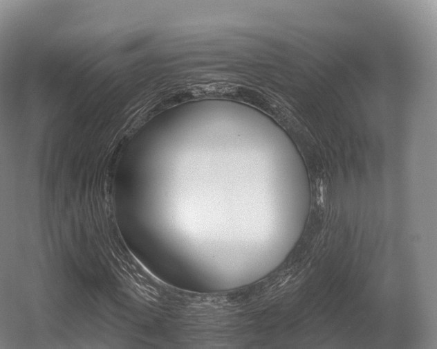 X0000055980915200508190725
