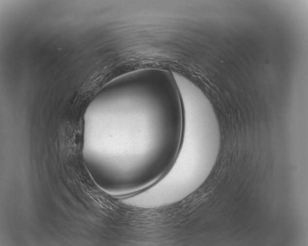 X0000055980916200508190725