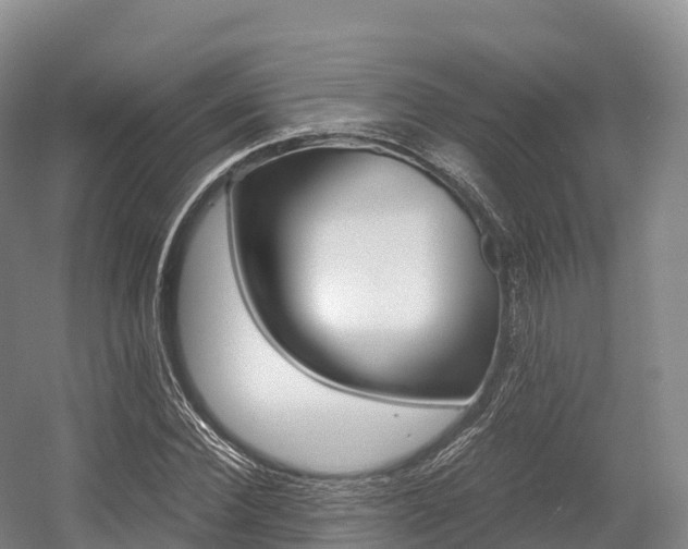 X0000055980924200508190725