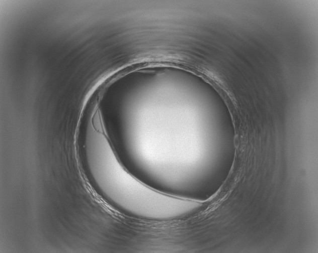 X0000055980928200508190725