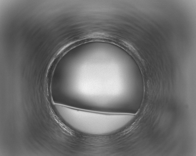 X0000055980931200508190725