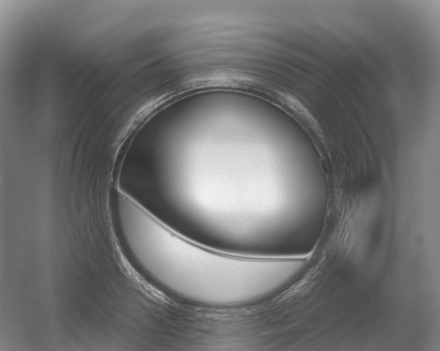 X0000055980938200508190725