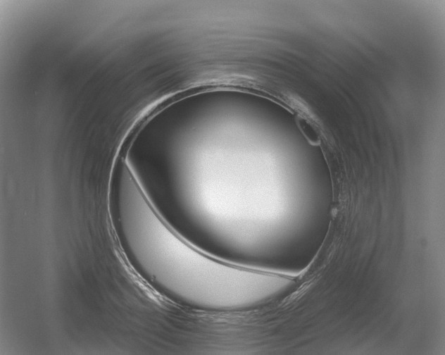 X0000055980940200508190725
