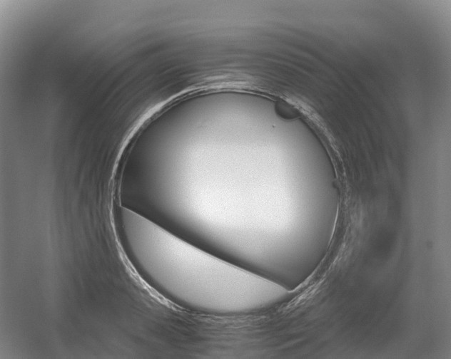 X0000055980941200508190726
