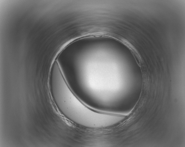 X0000055980956200508190726