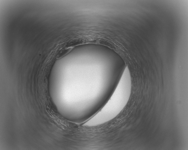 X0000055980961200508190725