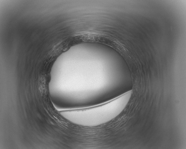 X0000055980964200508190725