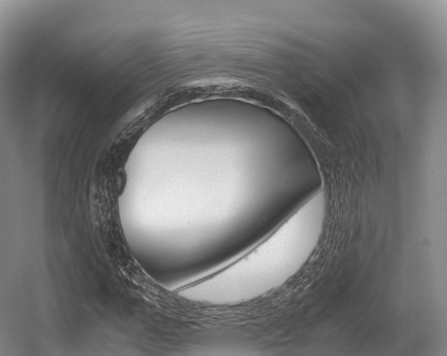 X0000055980967200508190725