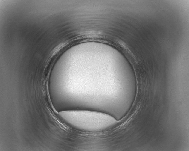 X0000055980970200508190725