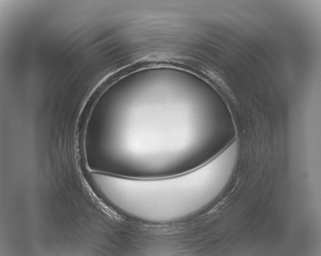 X0000055980976200508190725