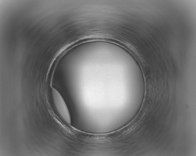X0000055980982200508190725