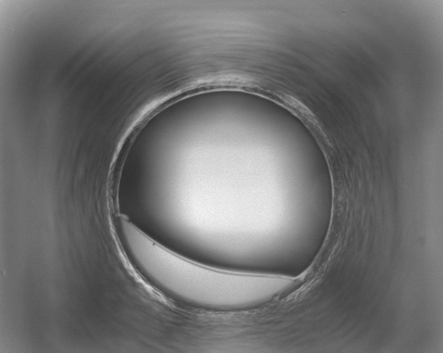 X0000055980989200508190725
